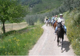 Reittrekking 